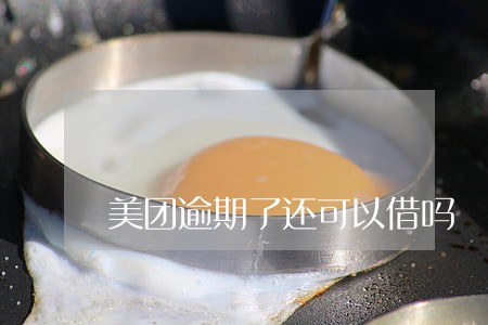 美团逾期了还可以借吗 美团逾期了还可以借吗