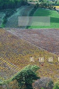 美团逾期了还能办信用卡吗 美团逾期了还能办信用卡吗