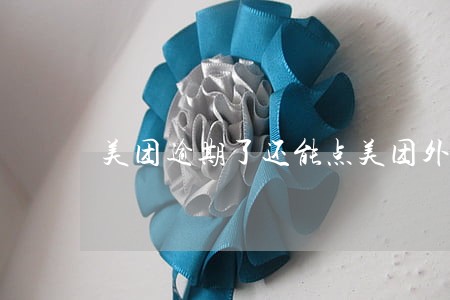 美团逾期了还能点美团外卖吗 美团逾期了还能点美团外卖吗