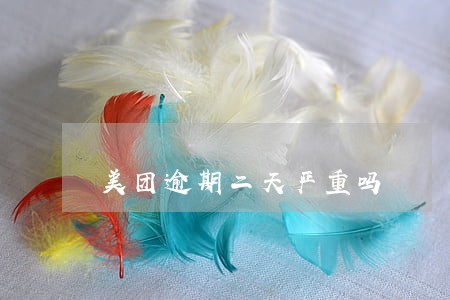 美团逾期二天严重吗 美团逾期二天严重吗