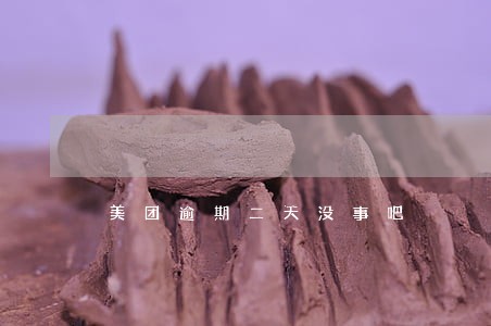 美团逾期二天没事吧 美团逾期二天没事吧