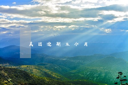 美团逾期五个月 美团逾期五个月