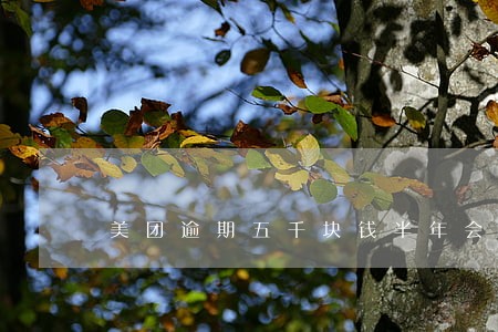 美团逾期五千块钱半年会怎么样 美团逾期五千块钱半年会怎么样