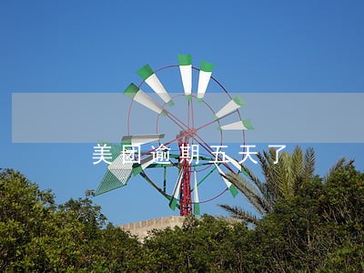 美团逾期五天了 美团逾期五天了
