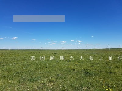 美团逾期五天会上征信吗