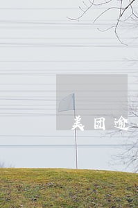 美团逾期五天会影响征信吗 美团逾期五天会影响征信吗