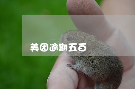 美团逾期五百 美团逾期五百