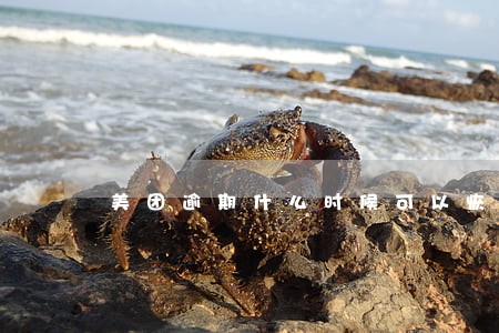 美团逾期什么时候可以恢复 美团逾期什么时候可以恢复