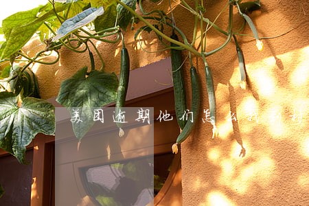 美团逾期他们怎么找到村委会的 美团逾期他们怎么找到村委会的