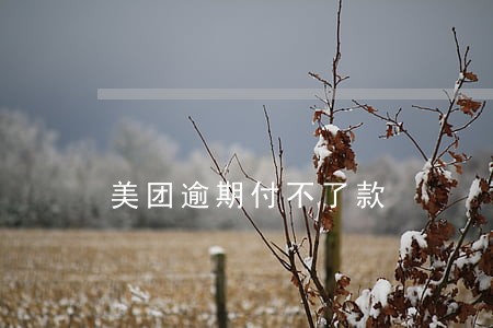 美团逾期付不了款 美团逾期付不了款