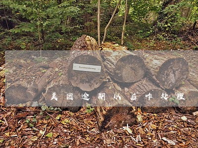 美团逾期以后咋处理 美团逾期以后咋处理