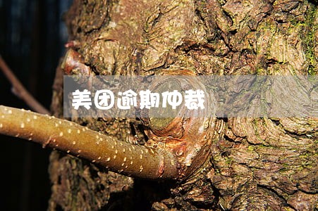 美团逾期仲裁 美团逾期仲裁