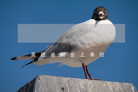 美团逾期会上单位 美团逾期会上单位