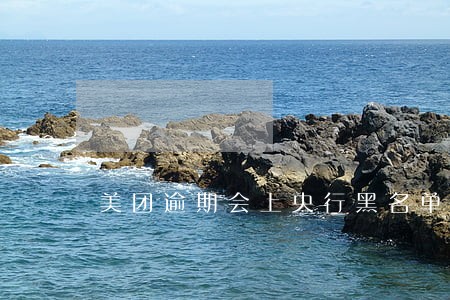 美团逾期会上央行黑名单