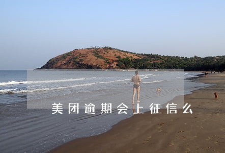 美团逾期会上征信么 美团逾期会上征信么
