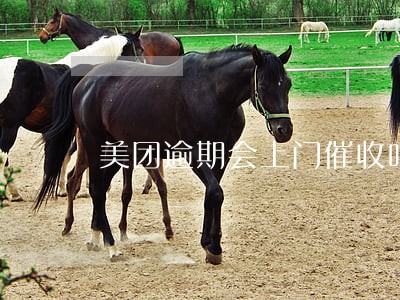 美团逾期会上门催收吗 美团逾期会上门催收吗