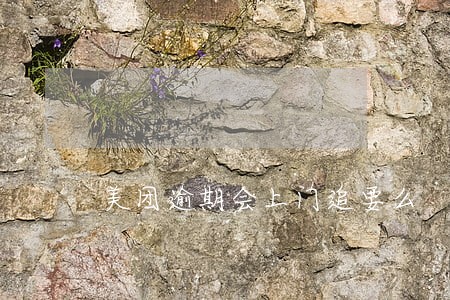 美团逾期会上门追要么 美团逾期会上门追要么
