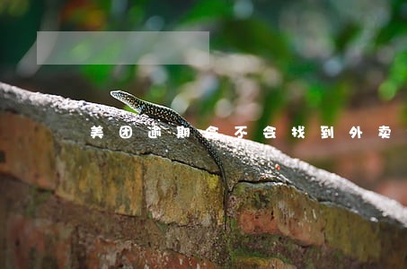 美团逾期会不会找到外卖地 美团逾期会不会找到外卖地