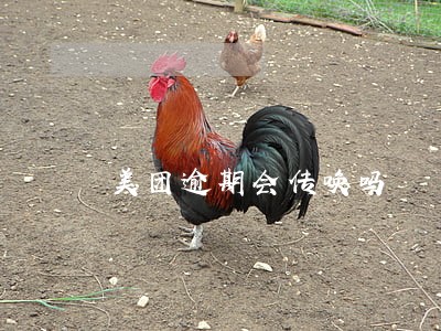 美团逾期会传唤吗