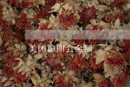 美团逾期会全额 美团逾期会全额