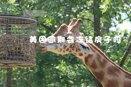 美团逾期会冻结房子吗