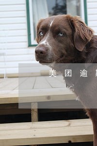 美团逾期会到户籍地访问吗 美团逾期会到户籍地访问吗