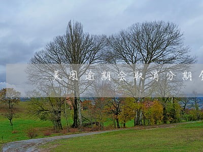 美团逾期会取消分期全额还款吗 美团逾期会取消分期全额还款吗