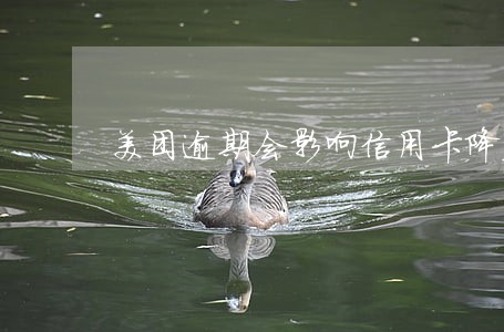 美团逾期会影响信用卡降额吗