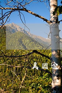 美团逾期会影响微信使用吗 美团逾期会影响微信使用吗