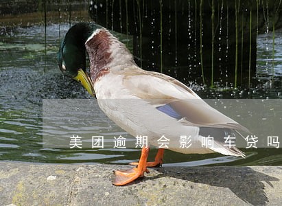 美团逾期会影响车贷吗 美团逾期会影响车贷吗