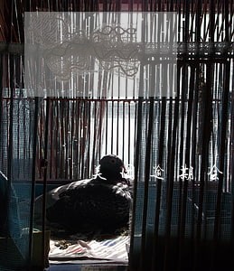 美团逾期会怎么样是全额还清么 美团逾期会怎么样是全额还清么