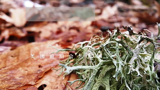 美团逾期会怎样嘛 美团逾期会怎样嘛