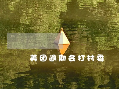 美团逾期会打村委