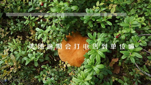 美团逾期会打电话到单位嘛 美团逾期会打电话到单位嘛