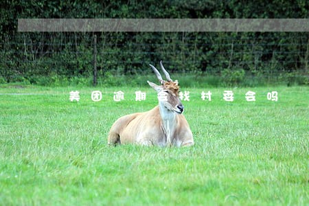 美团逾期会找村委会吗 美团逾期会找村委会吗