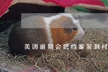 美团逾期会把档案发到村委会吗 美团逾期会把档案发到村委会吗