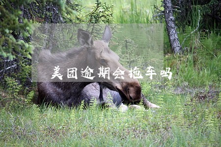 美团逾期会拖车吗