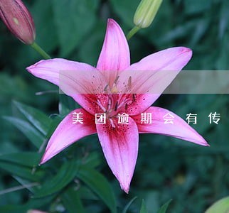 美团逾期会有传票么 美团逾期会有传票么