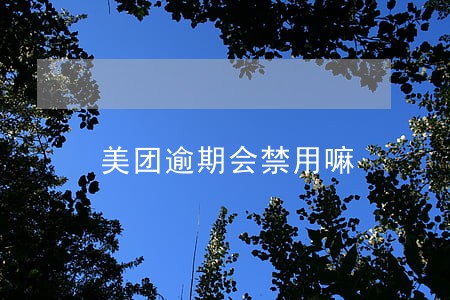 美团逾期会禁用嘛