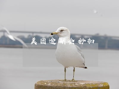 美团逾期会秒扣 美团逾期会秒扣
