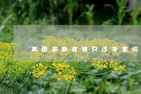 美团逾期会被只还本金吗 美团逾期会被只还本金吗