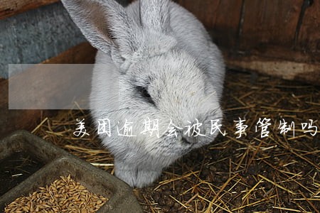 美团逾期会被民事管制吗