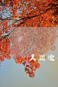 美团逾期会通知家人吗 美团逾期会通知家人吗