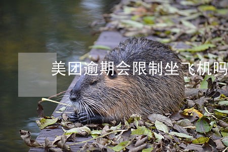 美团逾期会限制坐飞机吗 美团逾期会限制坐飞机吗