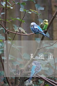 美团逾期会限制高消费吗 美团逾期会限制高消费吗