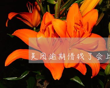 美团逾期借钱了会上门催收嘛 美团逾期借钱了会上门催收嘛