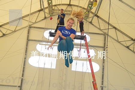 美团逾期停止分期
