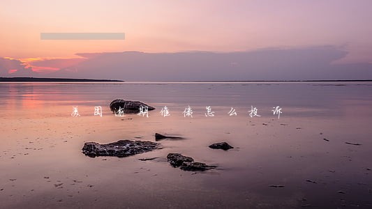 美团逾期催债怎么投诉 美团逾期催债怎么投诉