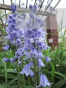 美团逾期催债说上门是真的吗 美团逾期催债说上门是真的吗