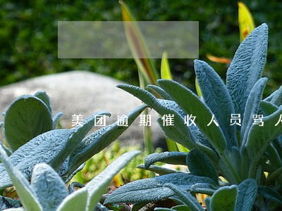 美团逾期催收人员骂人 美团逾期催收人员骂人
